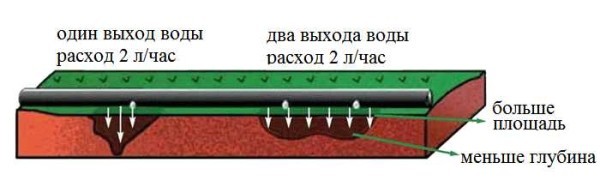 Капельное орошение в теплице и на огороде своими руками Капельное орошение в теплице и на огороде своими руками