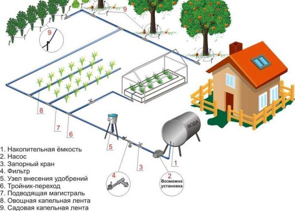 Капельное орошение в теплице и на огороде своими руками Капельное орошение в теплице и на огороде своими руками
