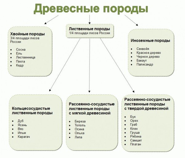
Размещение бани на участке нормы и требования		