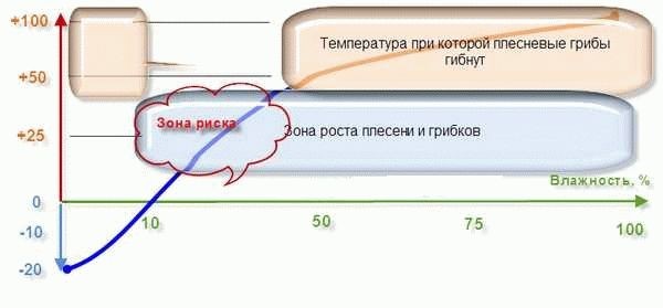 Чем пропитать баню внутри
Чем пропитать баню внутри