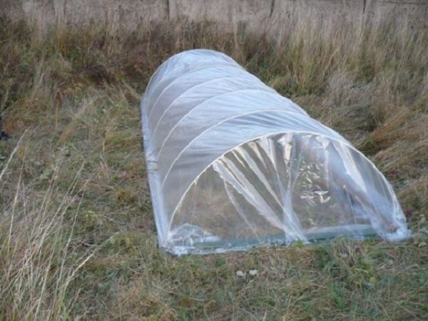 Как сделать парник своими руками: ТОП-3 способа изготовления из труб, из поликарбоната, а также подручных домашних средств Как сделать парник своими руками: ТОП-3 способа изготовления из труб, из поликарбоната, а также подручных домашних средств