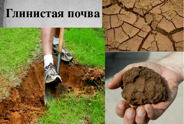 Какой фундамент делать на глинистой почве
Какой фундамент делать на глинистой почве