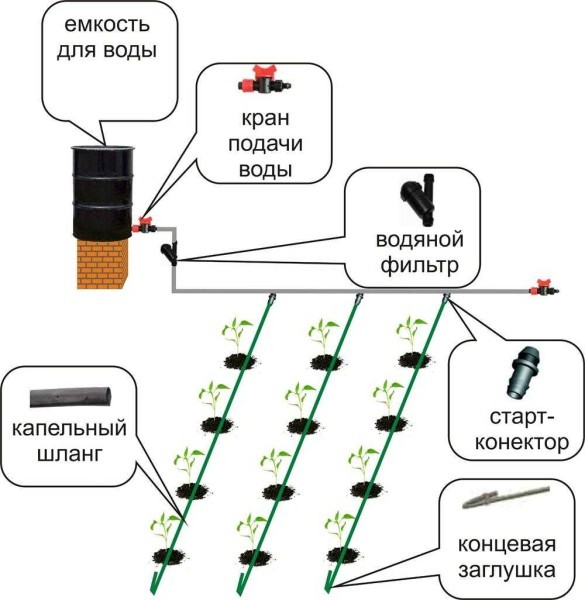 Капельное орошение в теплице и на огороде своими руками Капельное орошение в теплице и на огороде своими руками