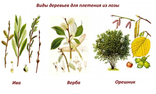 Плетеный забор своими руками: делаем из досок и веток с пошаговой инструкцией Плетеный забор своими руками: делаем из досок и веток с пошаговой инструкцией