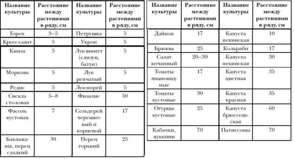 Огород для ленивых и умных: как сделать удобные и урожайные грядки Огород для ленивых и умных: как сделать удобные и урожайные грядки