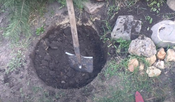 Прудик из покрышки: мини-водоем на даче своими руками Прудик из покрышки: мини-водоем на даче своими руками