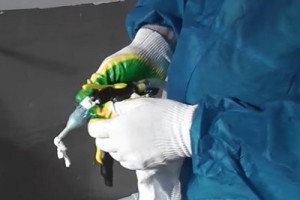 Утепление дома пенополиуретаном:  инструкция и каких критичных ошибок нужно не допускать