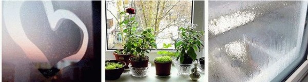 Почему мокнут пластиковые окна
Почему мокнут пластиковые окна