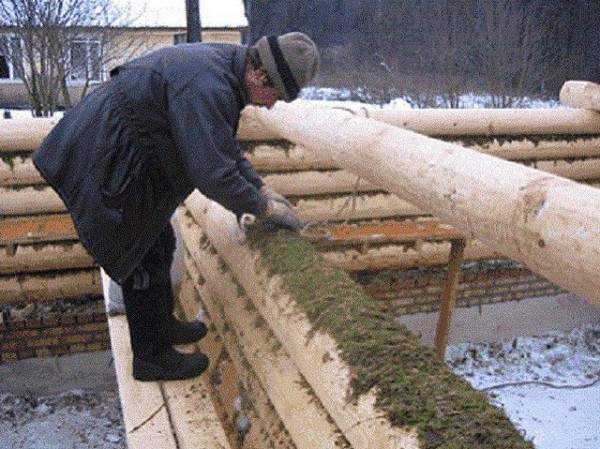 Межвенцовый утеплитель для бруса какой выбрать: какие бывают и на что обращать внимание при укладке Межвенцовый утеплитель для бруса какой выбрать: какие бывают и на что обращать внимание при укладке
