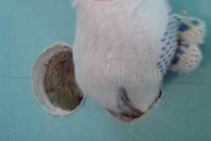 Как подключить розетку: используем схему Как подключить розетку: используем схему