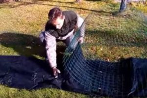 Компостная яма своими руками варианты: пошаговая инструкция с фото и видео