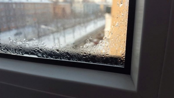 Как избавиться от чёрной плесени &mdash; советы, проверенные способы и средства