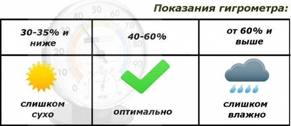 Как избавиться от чёрной плесени &mdash; советы, проверенные способы и средства