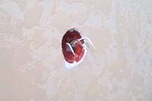 Как подключить розетку: используем схему Как подключить розетку: используем схему