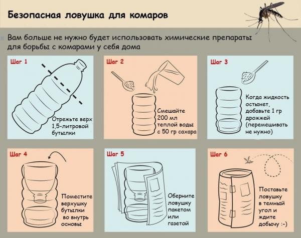 Как избавиться от комаров на дачном участке: выбираем самый эффективный метод