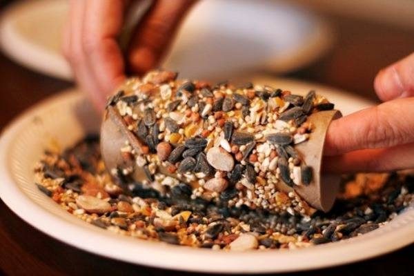 Кормушка для птиц своими руками – проекты и схемы, простые пошаговые инструкции Кормушка для птиц своими руками – проекты и схемы, простые пошаговые инструкции