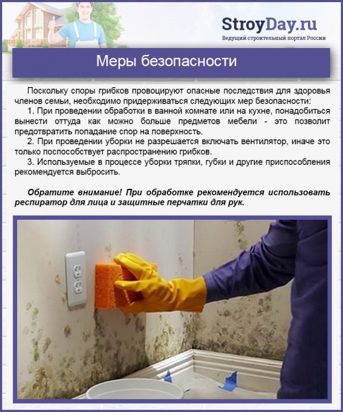 Чем опасна черная плесень в доме для организма человека и как от неё избавиться? Чем опасна черная плесень в доме для организма человека и как от неё избавиться?