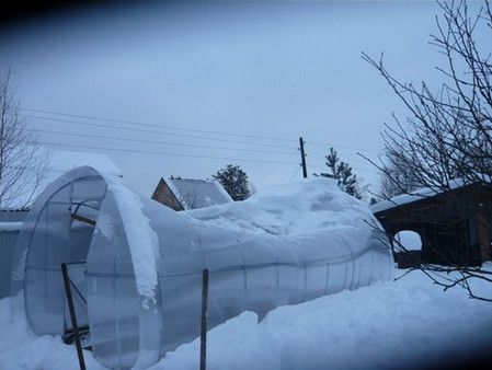 Теплица из поликарбоната своими руками: пошаговая инструкция