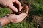 Как правильно рассчитать толщину плитного фундамента Как правильно рассчитать толщину плитного фундамента
