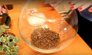 Флорариум — что это и как его сделать своими руками Флорариум — что это и как его сделать своими руками