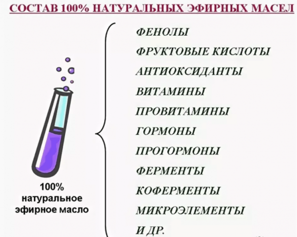 Эфирные масла для бани: какими бывают и как правильно их использовать Эфирные масла для бани: какими бывают и как правильно их использовать