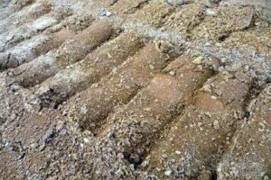 Какой фундамент выбрать для дома из бруса: типы и рекомендации, что выбирать
