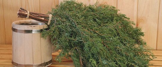 Чем русская баня отличается от финской
Чем русская баня отличается от финской