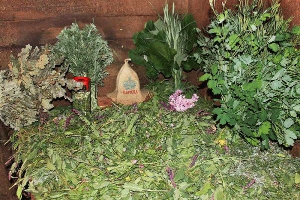 Запарка для бани своими руками
Запарка для бани своими руками