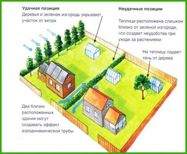 Простая теплица для дачников во время самоизоляции: пошаговая инструкция и необходимые материалы Простая теплица для дачников во время самоизоляции: пошаговая инструкция и необходимые материалы