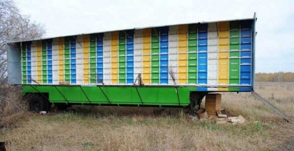 Улей своими руками: используем чертежи для процесса изготовления Улей своими руками: используем чертежи для процесса изготовления