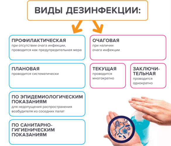Лучшие дезинфицирующие средства &mdash; рейтинг эффективных средств против бактерий для дома и квартиры