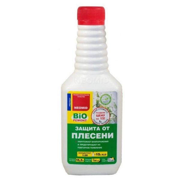 Чем опасна черная плесень в доме для организма человека и как от неё избавиться? Чем опасна черная плесень в доме для организма человека и как от неё избавиться?