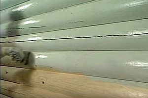 Покраска фасада дома: виды материала, инструкции