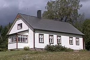 Покраска фасада дома: виды материала, инструкции
