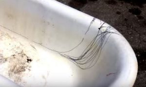 Диван своими руками в домашних условиях: пошаговая инструкция с фото