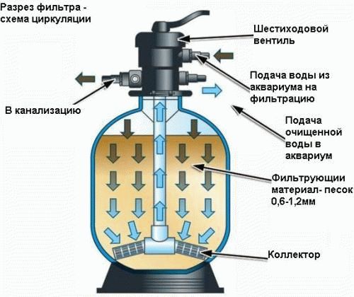 Очистка бассейна на даче
Очистка бассейна на даче