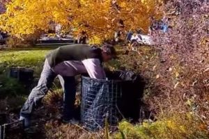 Компостная яма своими руками варианты: пошаговая инструкция с фото и видео