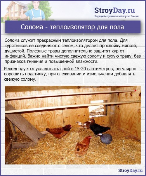 Как построить и утеплить курятник на зиму: пошаговая инструкция