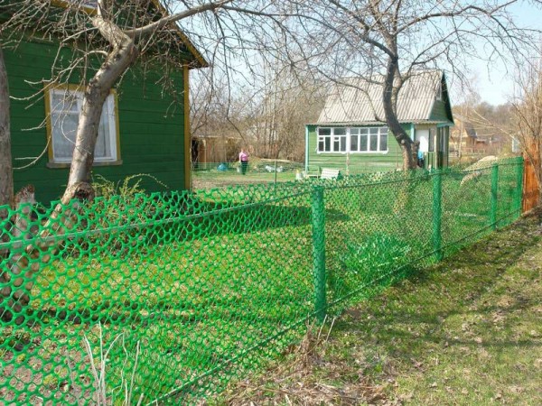Живая изгородь на даче своими руками: какие растения лучше выбрать, пошаговый процесс монтажа Живая изгородь на даче своими руками: какие растения лучше выбрать, пошаговый процесс монтажа